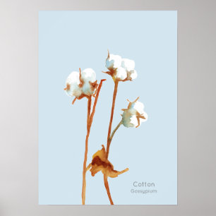 Bomullsväxter botaniskt vattenfärg poster
