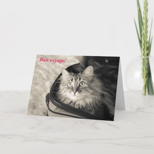Bon resekort med katt. kort (Framsida)