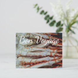 Bon Voyage - Alaska för rödkrabba Kung - vykort