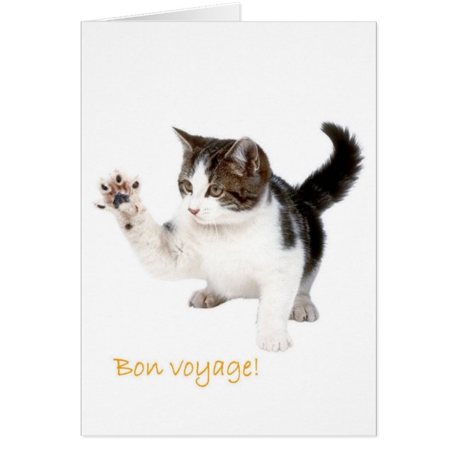 Bon Voyage! Hälsningskort (Framsidan)