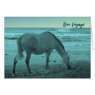 Bon Voyage Horse nära Sjö Michigan Hälsningskort