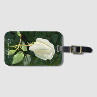 Bon voyage, luggage Tag Bagagebricka