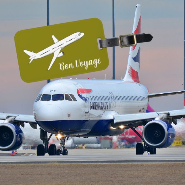 Bon Voyage, Modern Flygplan i flygplatsresor Bagagebricka (Skapare uppladdad)
