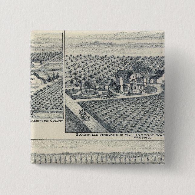 Bonacourt Ranch, Washington Colony, Kalifornien Knapp (Framsida)