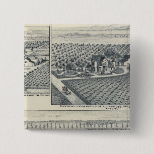 Bonacourt Ranch, Washington Colony, Kalifornien Knapp