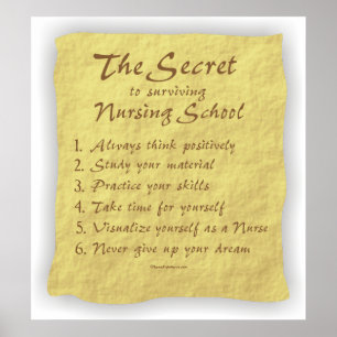 BonafideNurse_-_Secret_to_Överlevande_Nursing_Scho Poster
