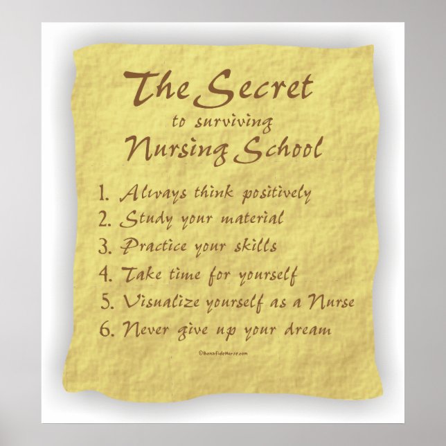 BonafideNurse_-_Secret_to_Överlevande_Nursing_Scho Poster (Framsidan)