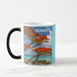 Bonaire bon bini magisk mugg