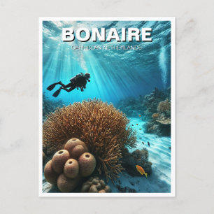 Bonaire Caribbean Netherlands Scuba Diver Diving D Vykort