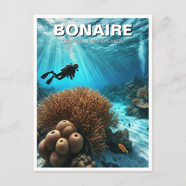 Bonaire Caribbean Netherlands Scuba Diver Diving D Vykort (Framsida)