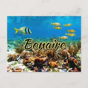 Bonaire coral reef vykort