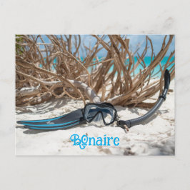 Bonaire divers paradise vykort