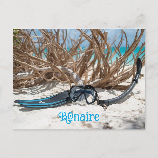 Bonaire divers paradise vykort (Framsida)