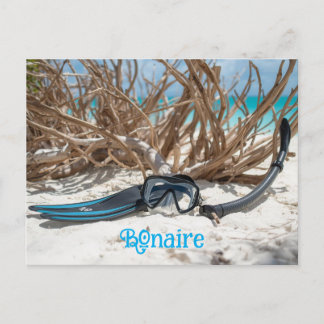 Bonaire dykarparadis vykort