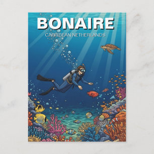 Bonaire Karibiska Nederländerna Dykare Dykning Vykort