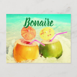Bonaire-kokosnötter Vykort