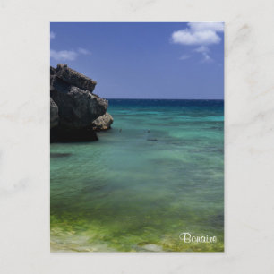 Bonaire Ocean Vykort