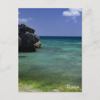 Bonaire Ocean Vykort