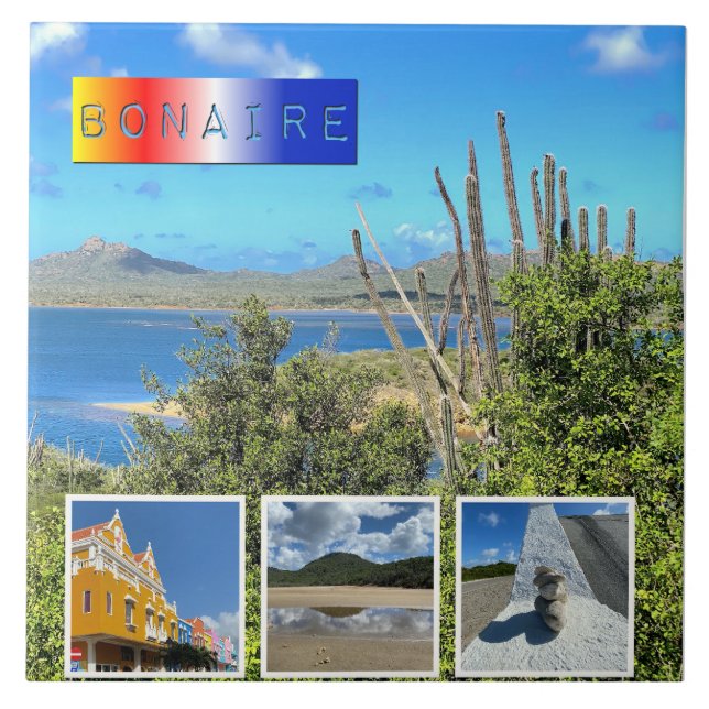 Bonaire Photo Collage Kakelplatta (Framsidan)