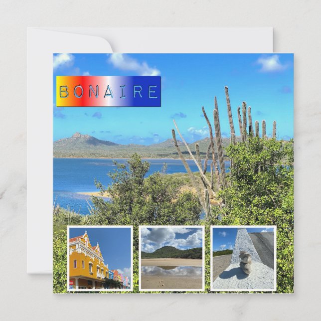 Bonaire Photo Collage-platta kort (Framsida)