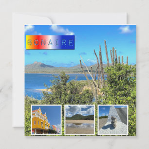 Bonaire Photo Collage-platta kort