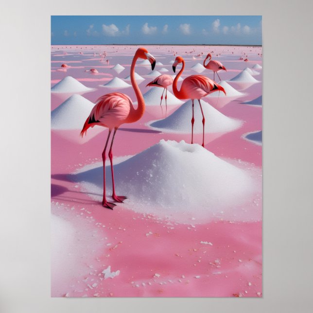 bonaire pink poster (Framsidan)