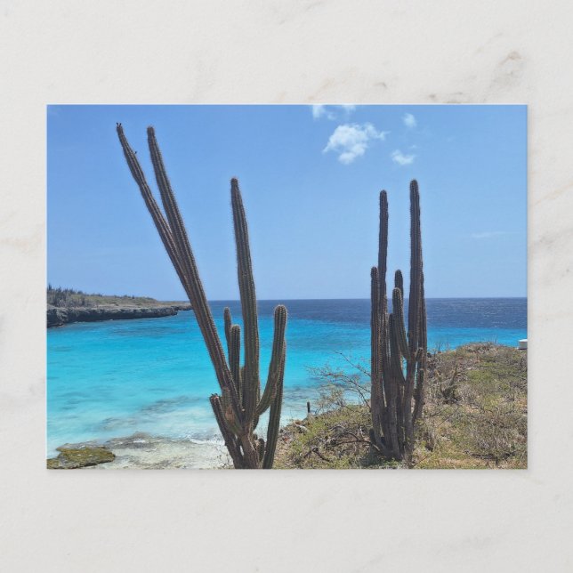 Bonaire Seaview Vykort (Framsida)