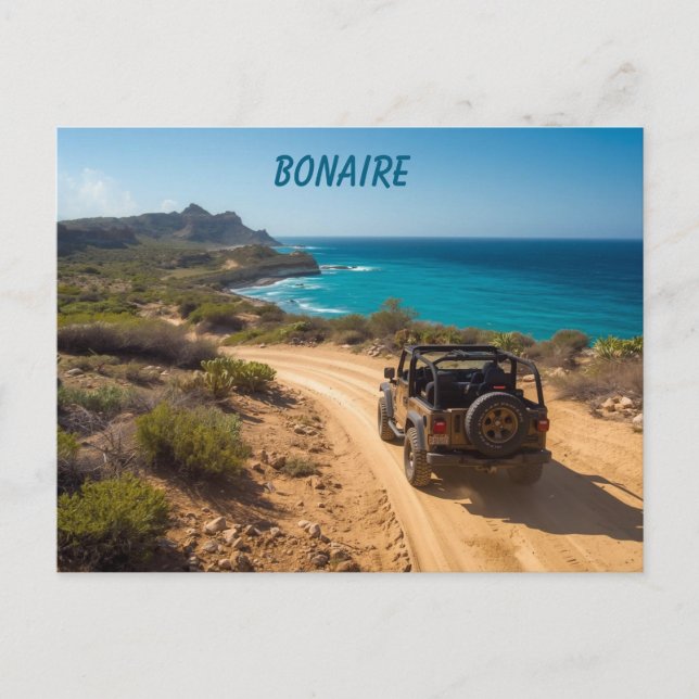 Bonaire Slagbaai nationalpark Vykort (Framsida)