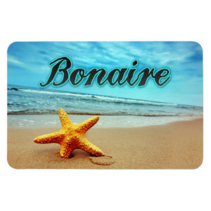 Bonaire-stjärnor Magnet