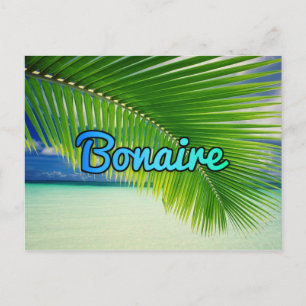 Bonaire Vykort
