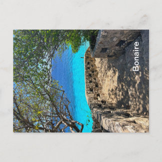 Bonaire-vykort Vykort
