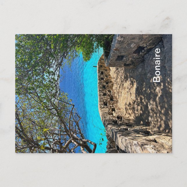 Bonaire-vykort Vykort (Framsida)