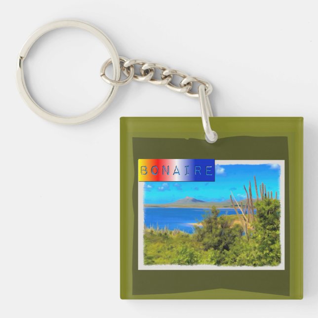 Bonaire Watercolor (Framsidan)