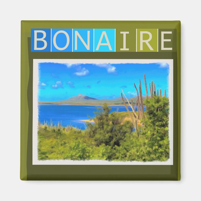 Bonaire Watercolor Magnet (Framsidan)