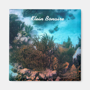 Bonairean rev magnet