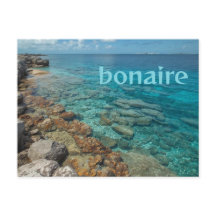 Bonairebris