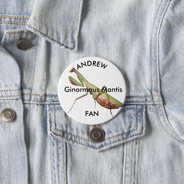 bönande mantis, Ginformous Mantis Knapp (In Situ)