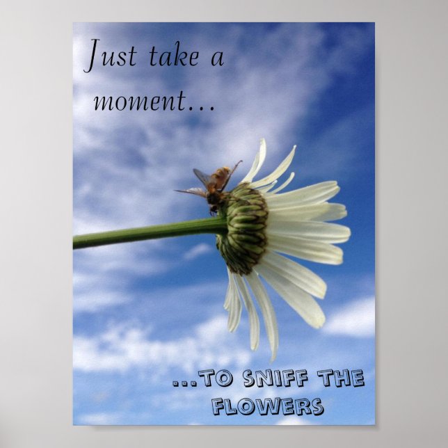 Bönans blomma poster (Framsidan)