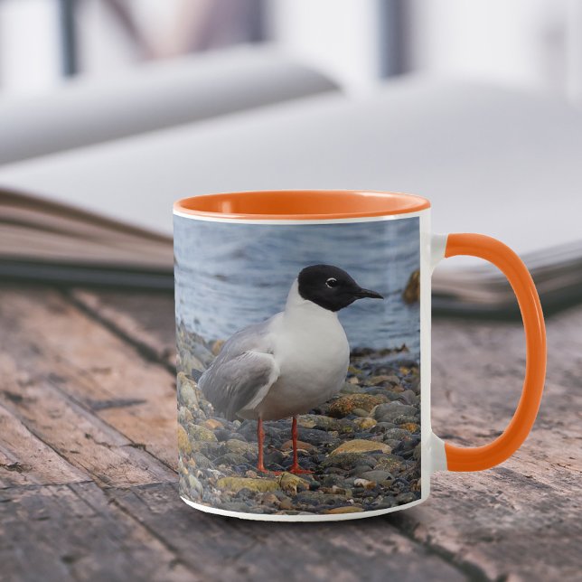 Bonaparte's Gull vid Beach Mugg (Bonapartes Gull at Beach 11 oz Coffee Mug Cover Photo)