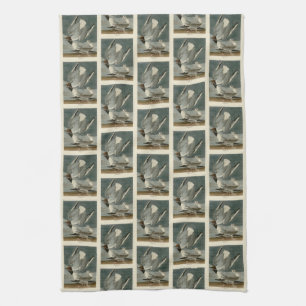 Bonapartian Gull från Audubon's Birds of America Kökshandduk