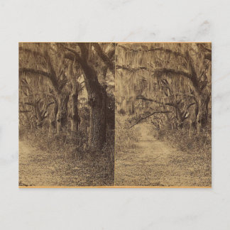 Bonaventura Cemetery, Savannah, Ga. c. 1863 Vykort
