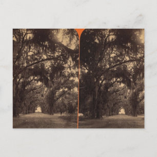 Bonaventure Cemetery, Savannah, Ga c. 1886 Vykort