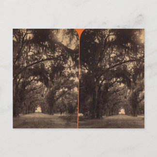 Bonaventure Cemetery, Savannah, Ga c. 1886 Vykort