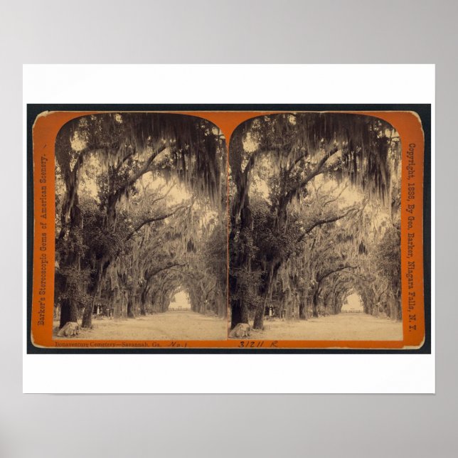 Bonaventure Cemetery, Savannah, Ga c. 1887 Poster (Framsidan)