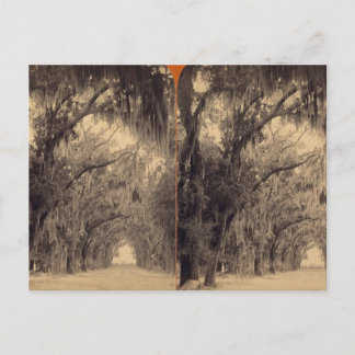 Bonaventure Cemetery, Savannah, Ga c. 1887 Vykort