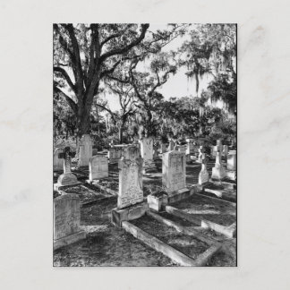 Bonaventure Cemetery, Savannah GA Vykort