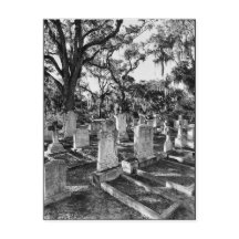 Bonaventure Cemetery, Savannah GA