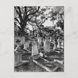 Bonaventure Cemetery, Savannah GA Vykort