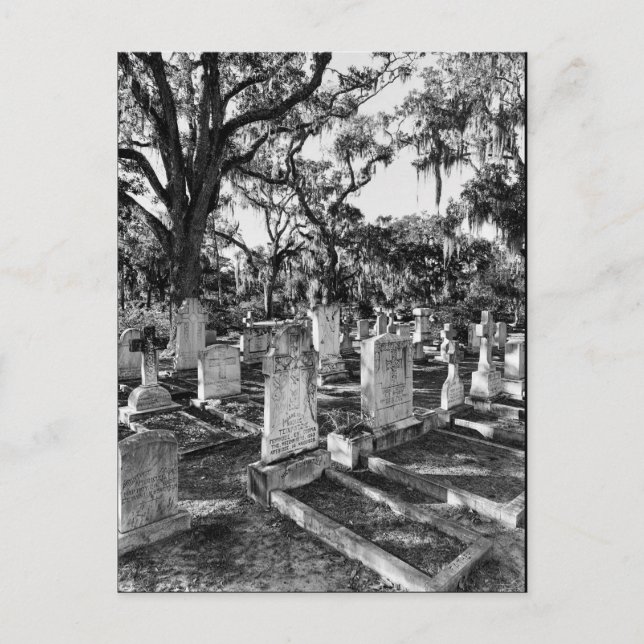 Bonaventure Cemetery, Savannah GA Vykort (Framsida)