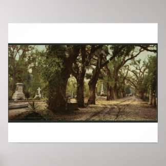 Bonaventure Cemetery, Savannah, Georgia Circa 1901 Poster
